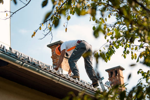 Best Commercial Roof Installation  in Rupert, WV