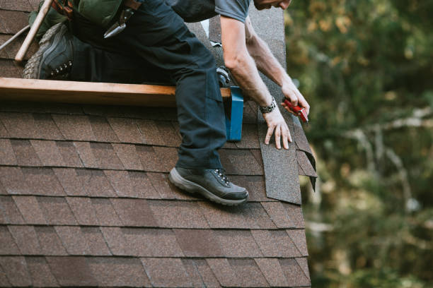 Best Gutter Installation and Roofing  in Rupert, WV